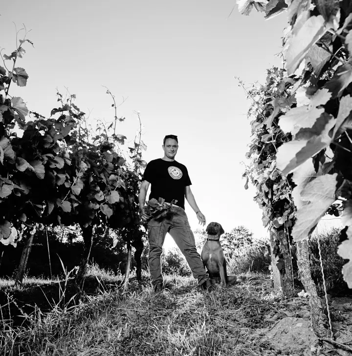 La vibrante viticultura de Franconia | Departures Magazine